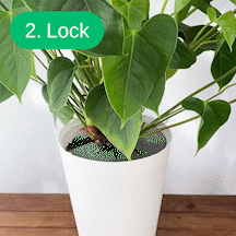How to use Boskke Planters