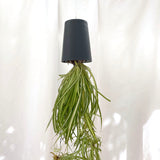 Sky Planter Recycled