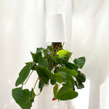 Sky Planter Recycled