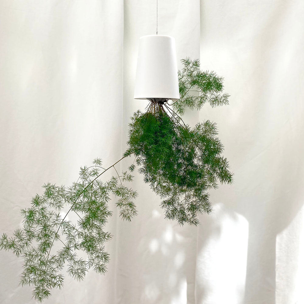 Sky Planter Recycled