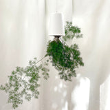 Sky Planter Recycled