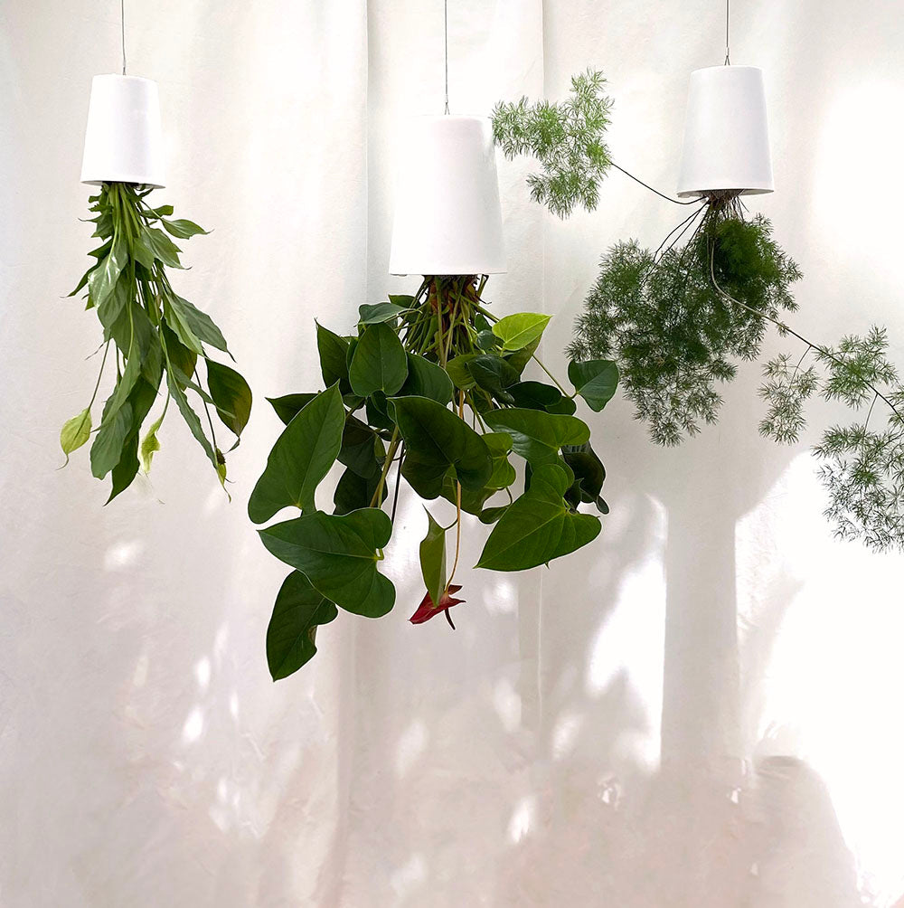 Sky Planter Recycled