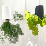 Sky Planter Recycled